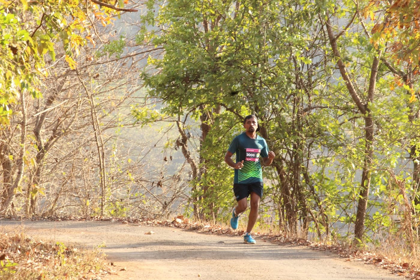 A runner mid-stride on a tree-lined trail in soft morning light