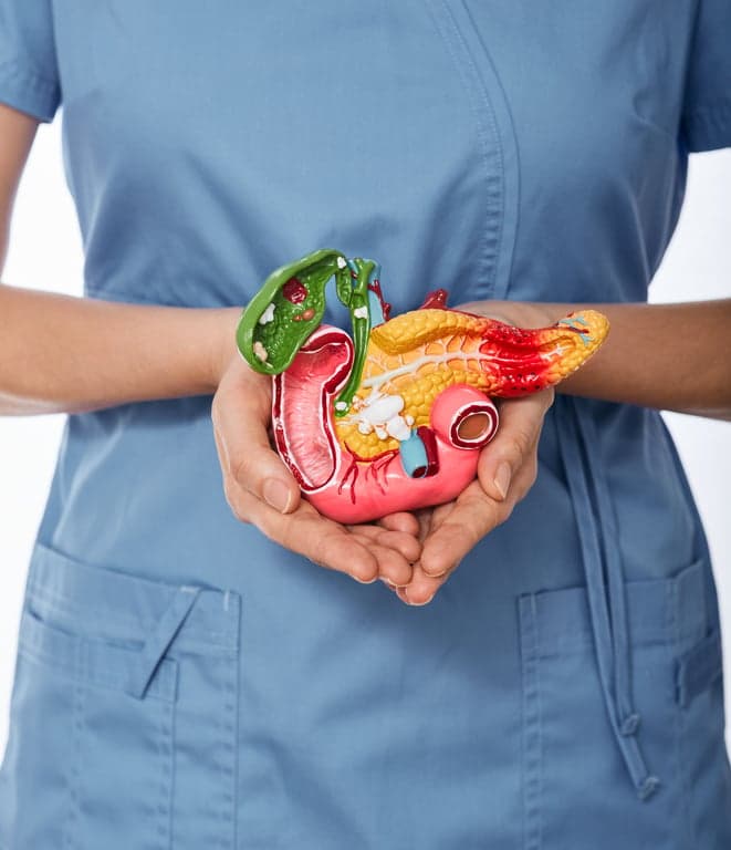 3D medical illustration of the digestive system highlighting the pancreas behind the stomach with a bright glow against a dark blue clinical background.