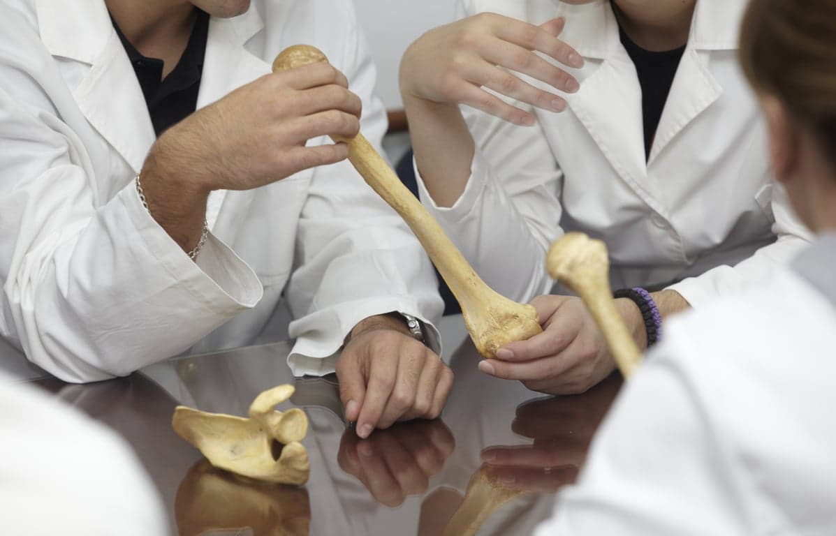 Bone Density (DEXA) T-Score: Chart & What It Means