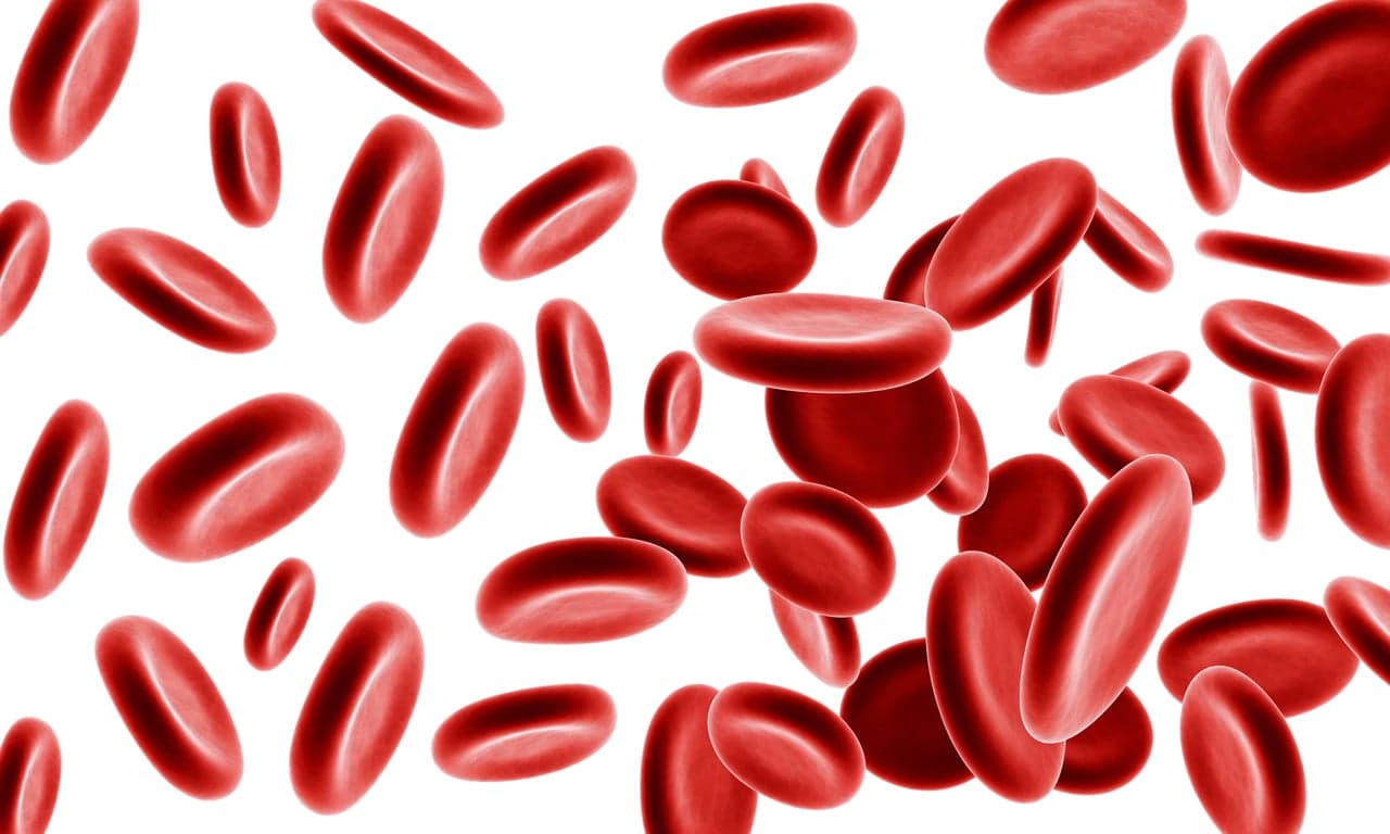 A 3D microscopic rendering of red blood cells flowing through a vein.