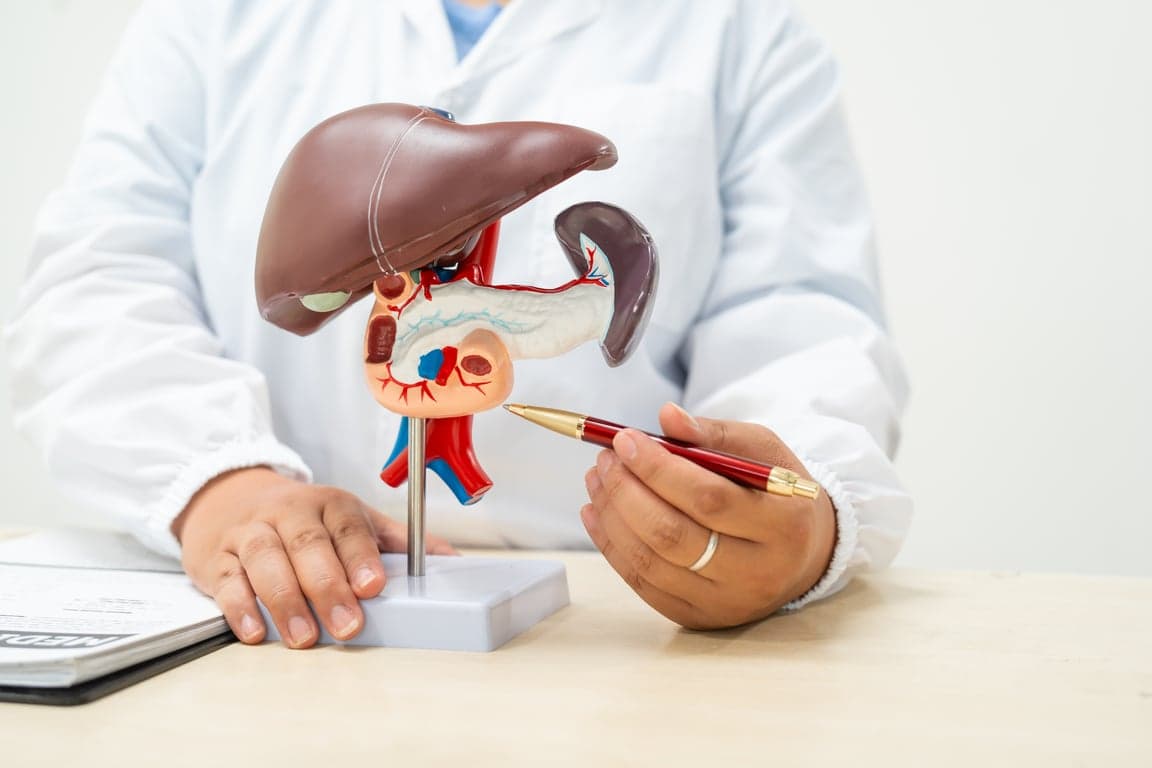 3D medical illustration of a healthy human liver, highlighting the importance of regular Liver Function Tests (LFT) to catch early damage.